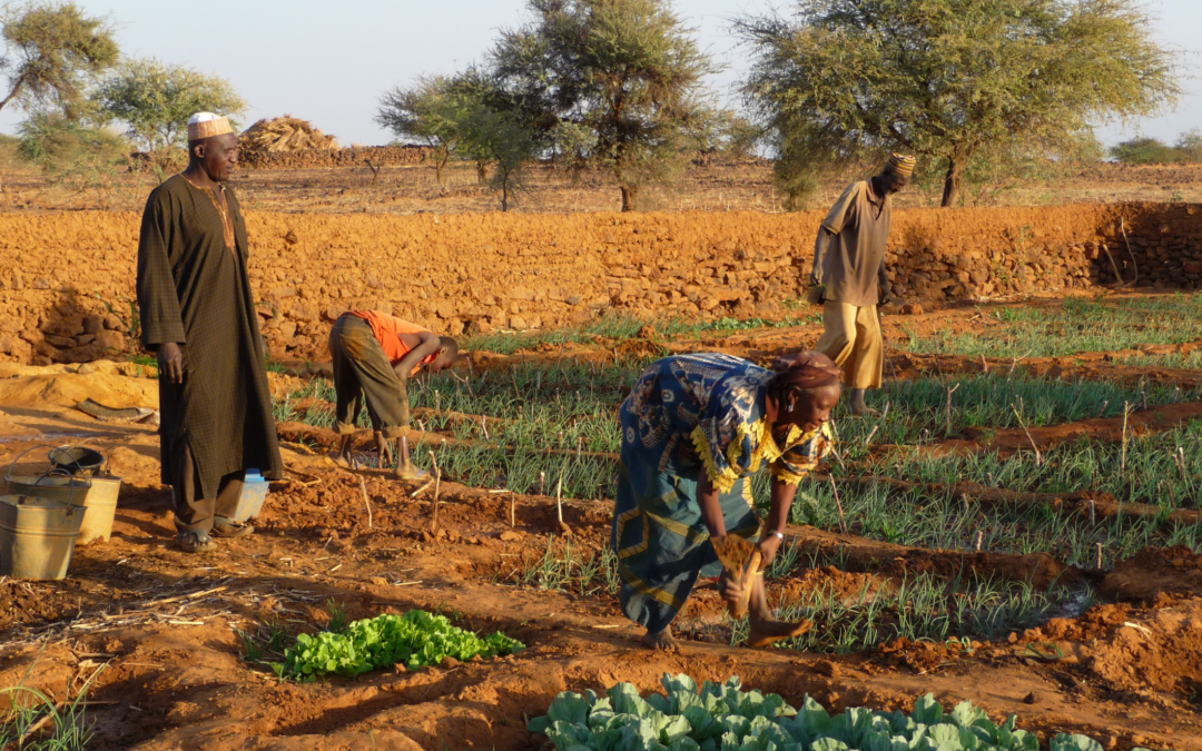 Resilient food systems