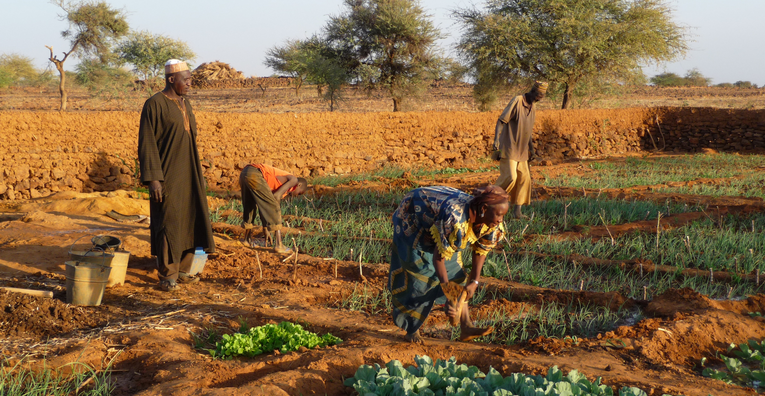 Resilient food systems