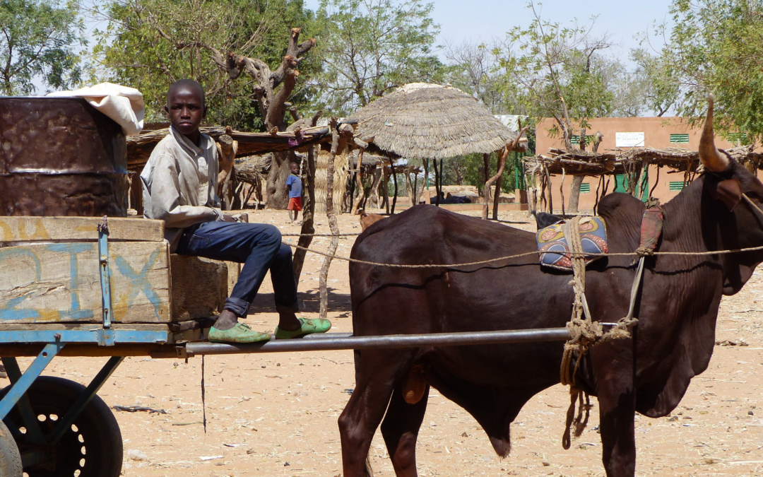 Peaceful communities