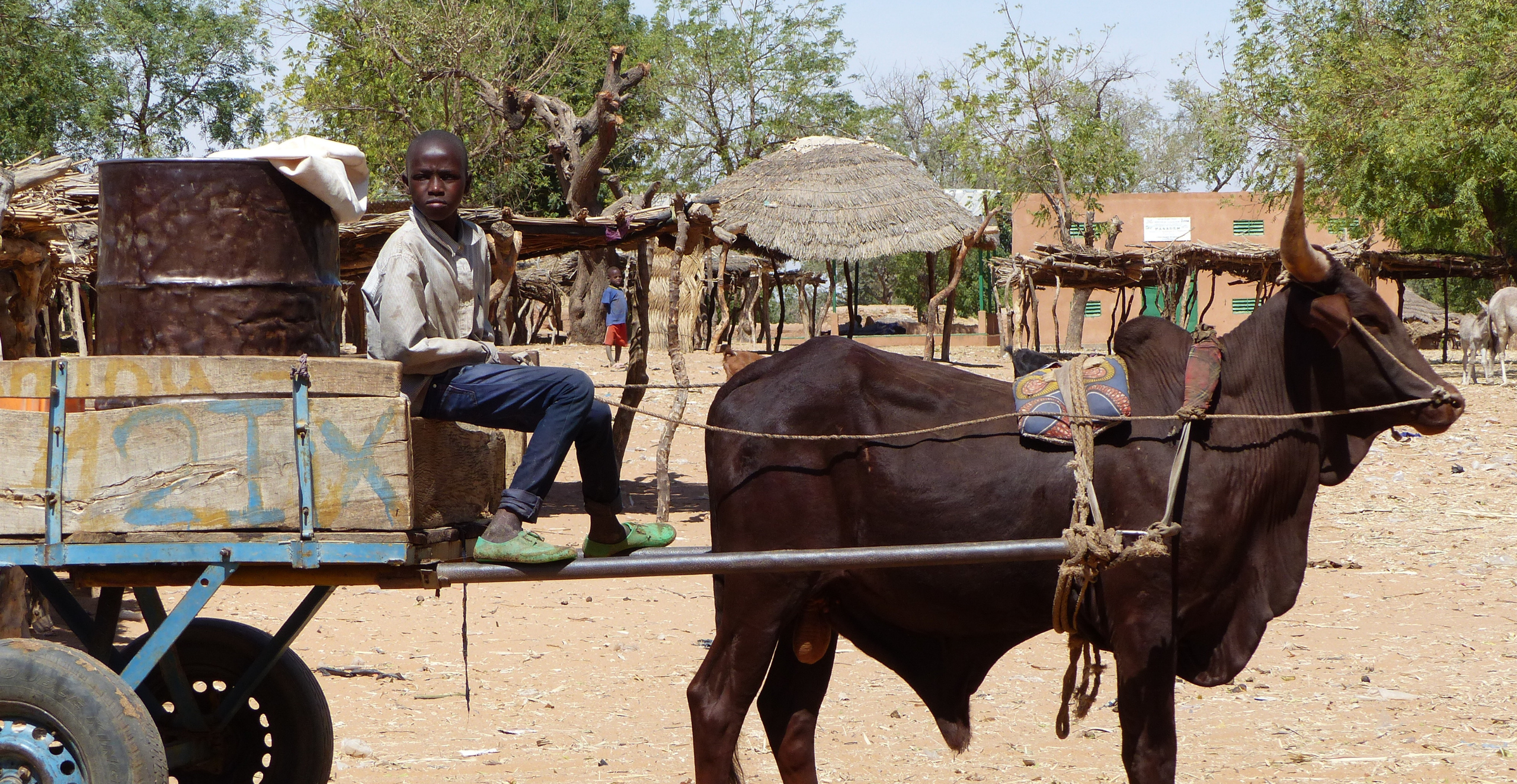 Peaceful communities