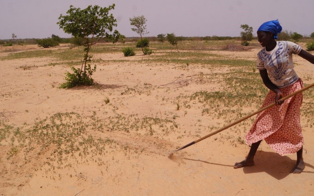 Support for youth-led regreening